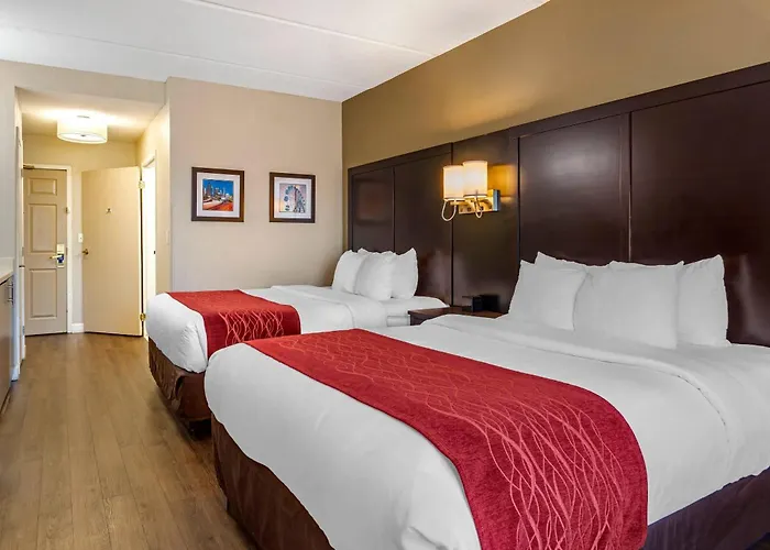Comfort Inn & Suites Near Six Flags
