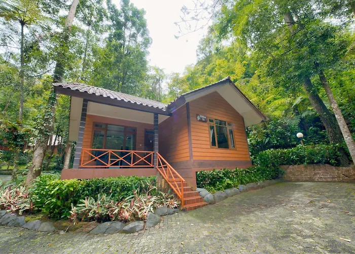 Safari Resort