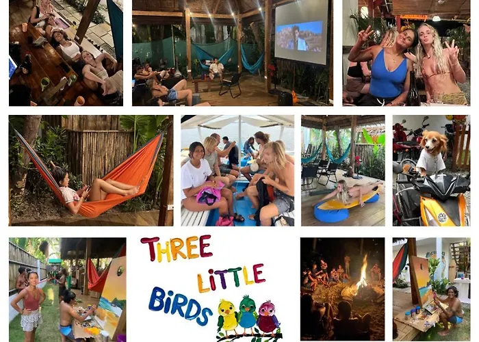 Three Little Birds Surf Hostel