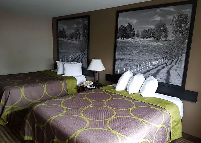 Super 8 By Wyndham Lexington Hamburg Area