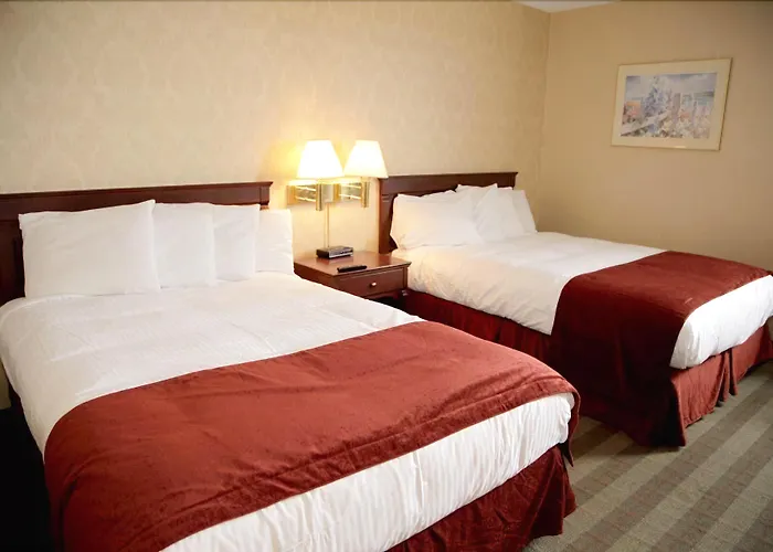Albatross Hotel