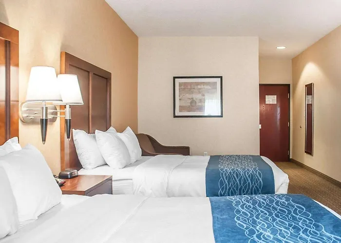 Comfort Inn&Suites Hamburg - Buffalo South