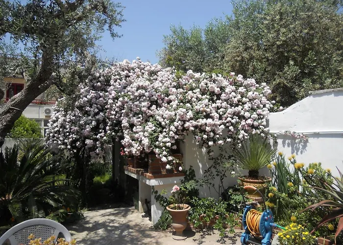 B&B La Rosa Antica