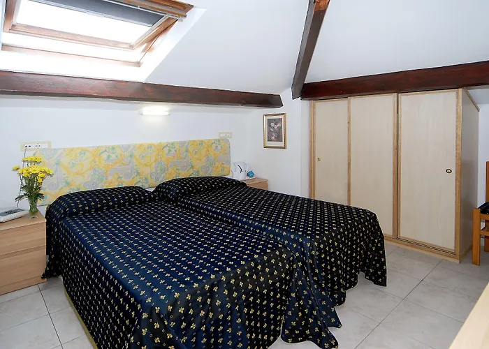 Hotel Delle Mimose