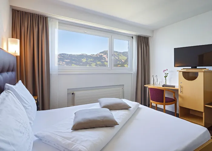 Seerausch Swiss Quality Hotel