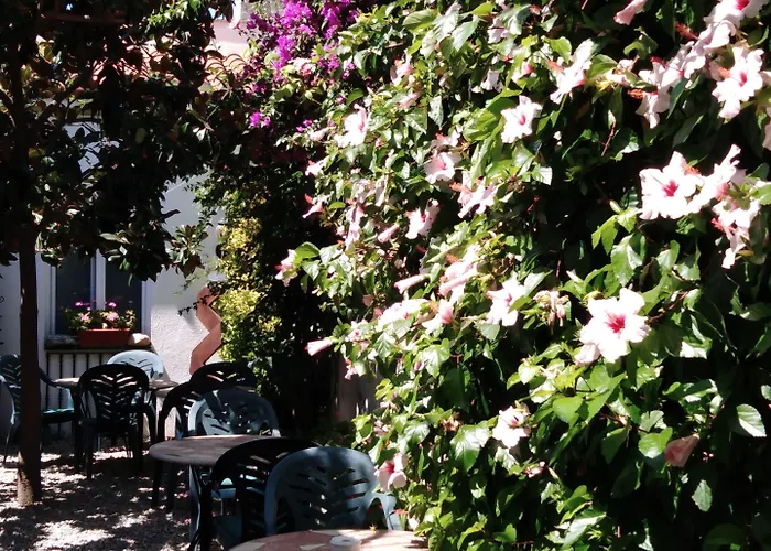 Hotel Mitus