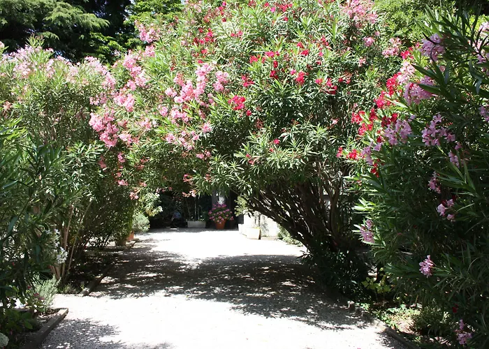 Hotel Le Chalet Fleuri