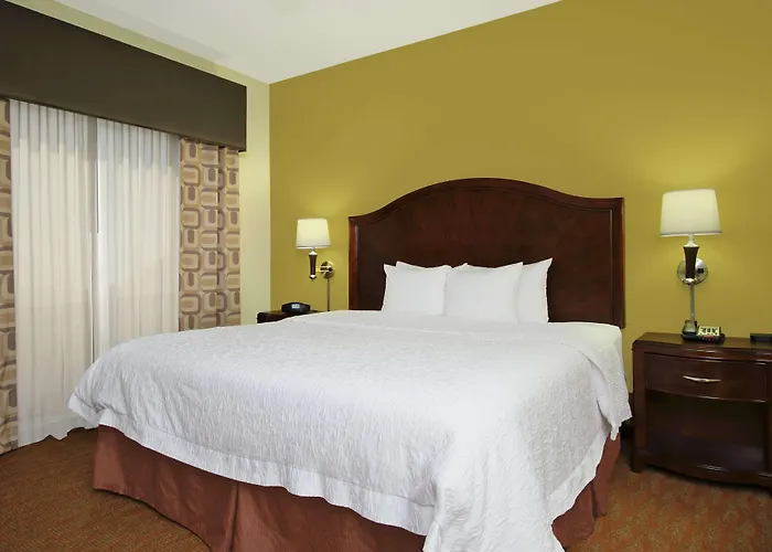 Hampton Inn & Suites Conroe I 45 North