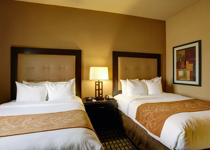 Comfort Suites Buda - Austin South