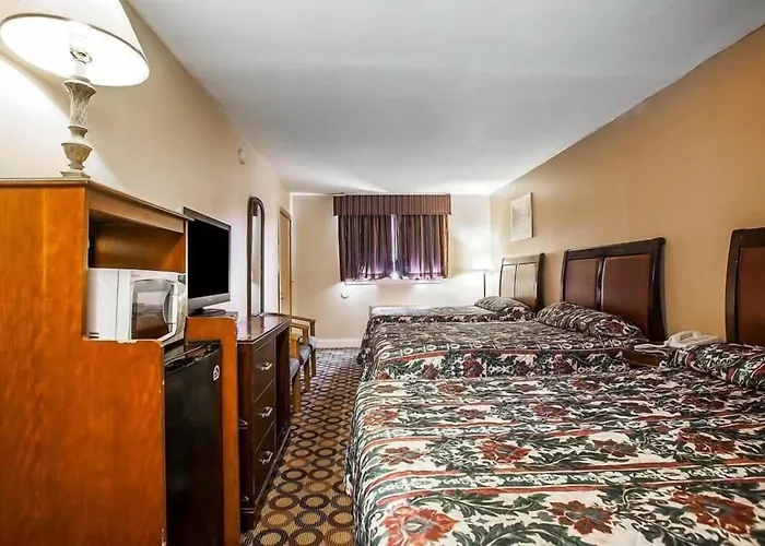 Flamingo Inn