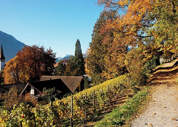 Jungfrau Hotel Annex Alpine-Inn
