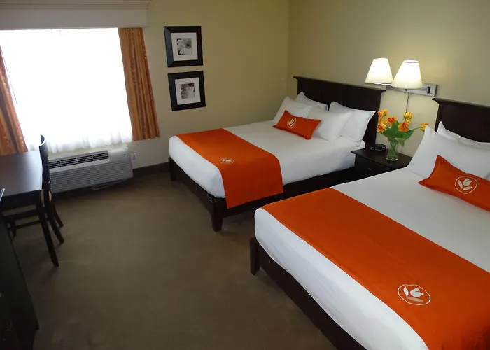 Amsterdam Inn & Suites Sussex