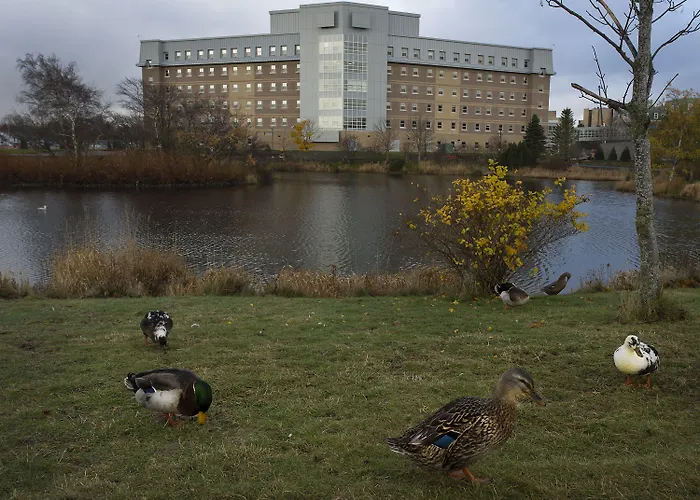 Memorial University