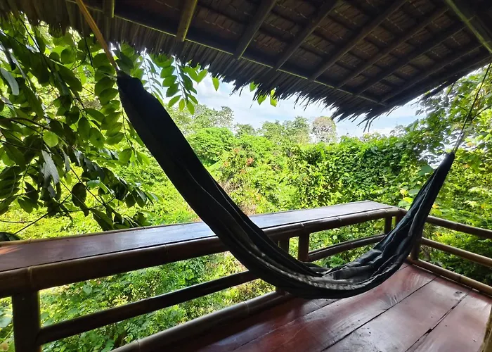 Thejungleguide - Lodges & Treks