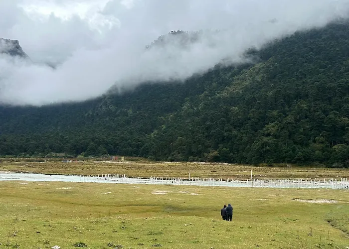 Cliff View Residency Lachung