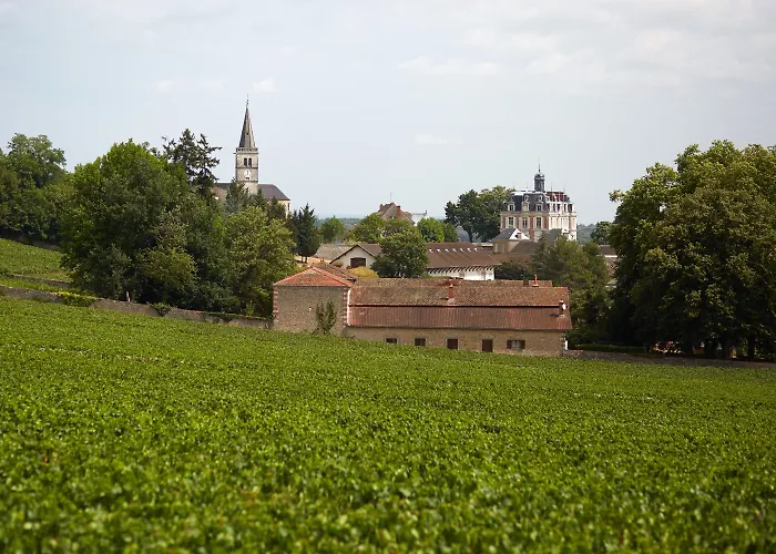 Chateau Saint-Michel - Cercle Des Grands Crus Rully 
