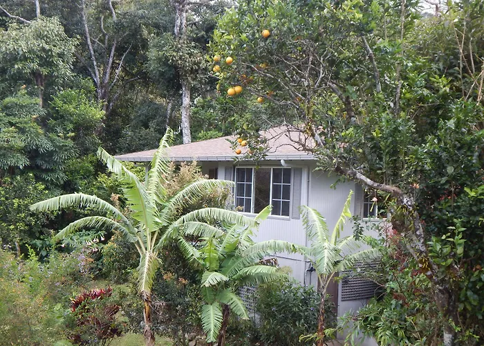 Coffee Estate Inn
