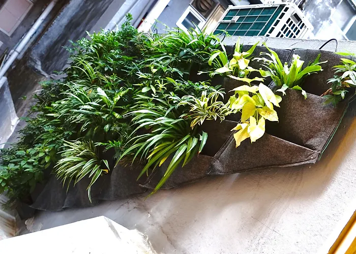 Sleeep Soho
