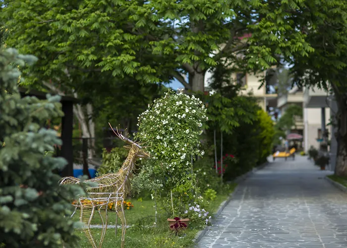Hotel Chveni Ezo