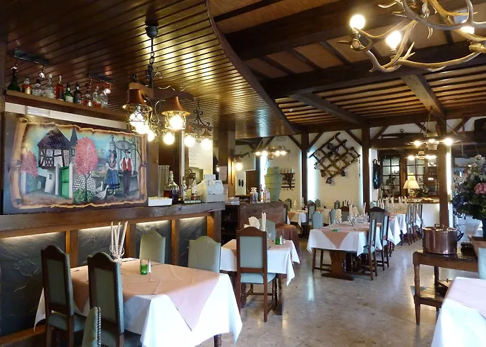 Auberge d'Alsace Hotel de France