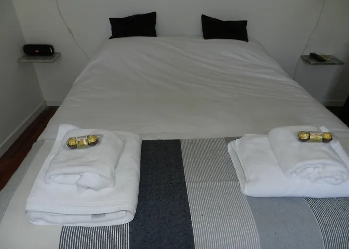 B&B Polo (Adults Only)