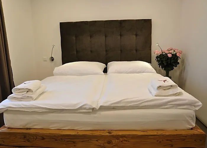 Hotel Ryzlink