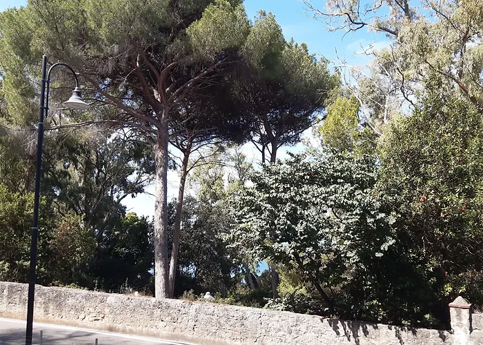 B&B Posidonia
