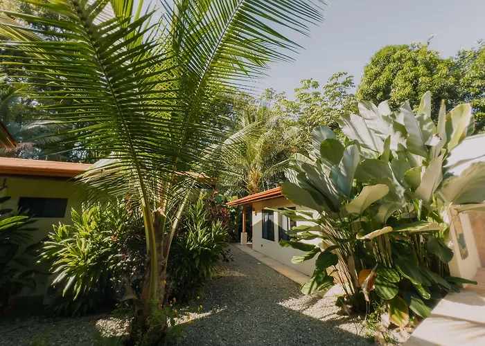 Tropical Beach