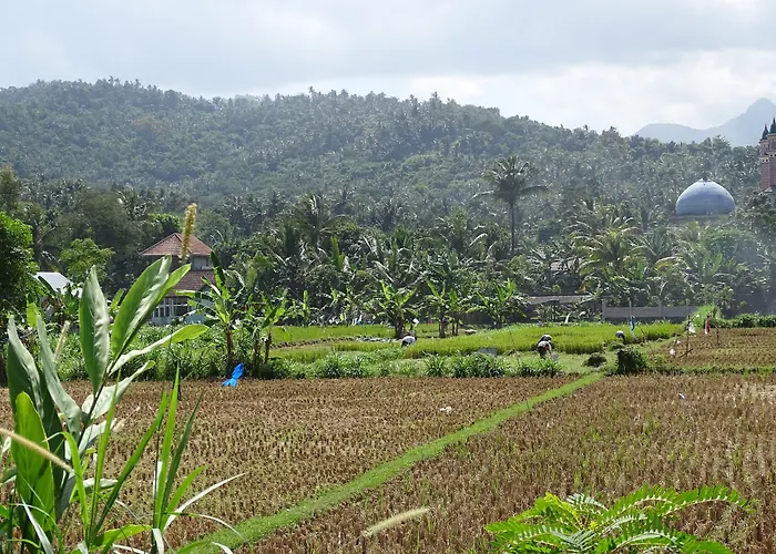 Bale Solah Lombok Holiday Resort