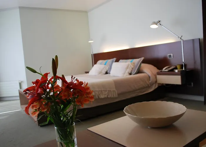 Hotel Costa Real
