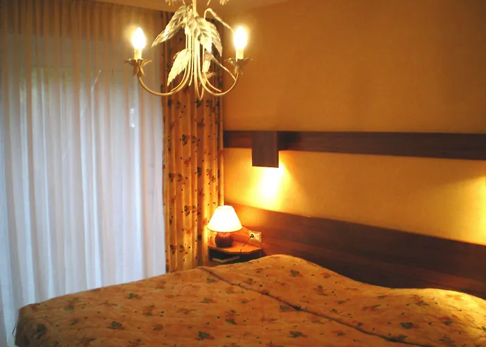 Hotel Des Vosges