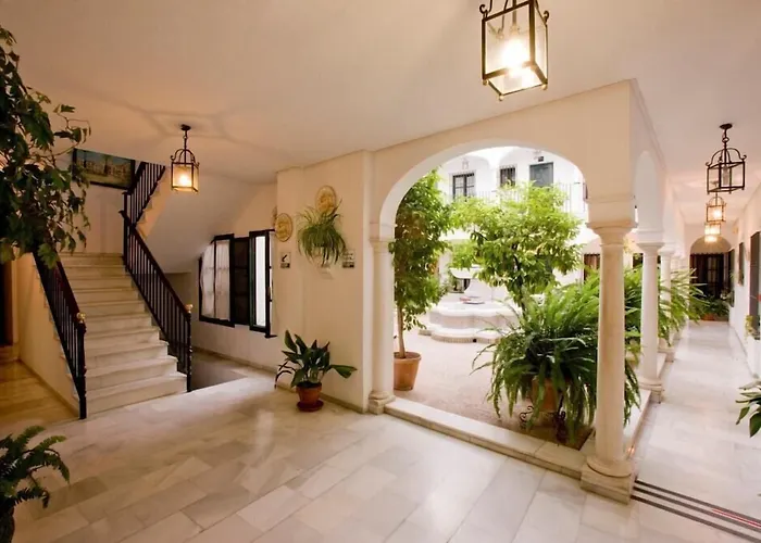 Los Helechos