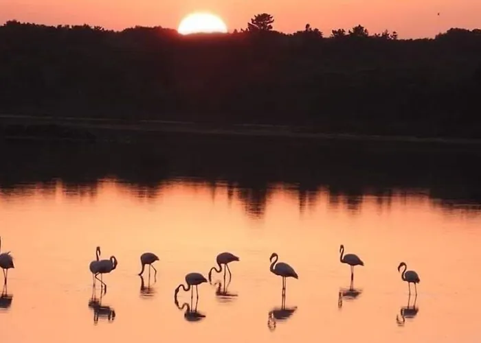 B&B Lo Scrigno del Salento