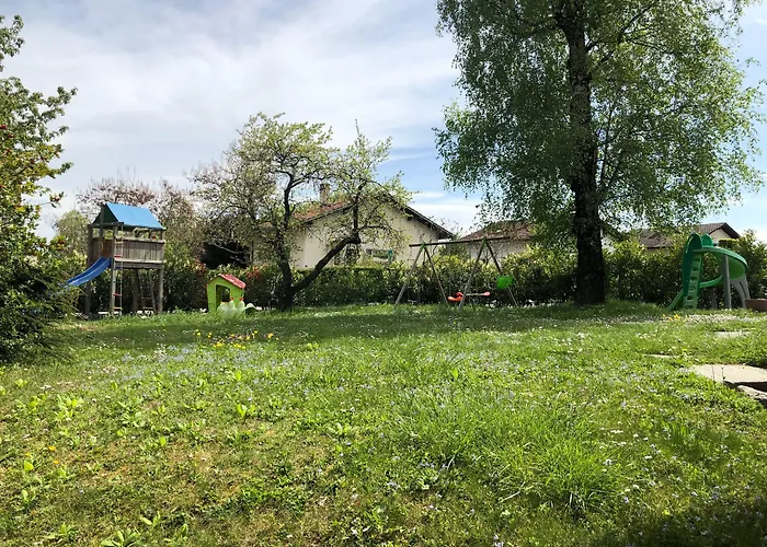 Au Bonheur Des Iris