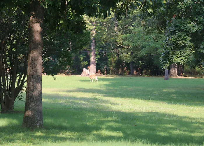Cedar Grove Inn