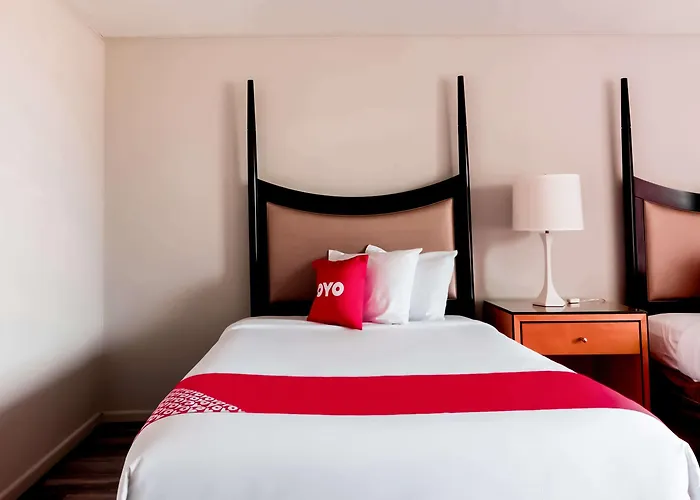 Oyo Hotel Alice Tx Hwy 281 West