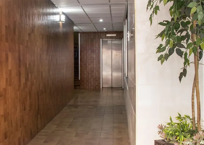 Hotel Allende 104