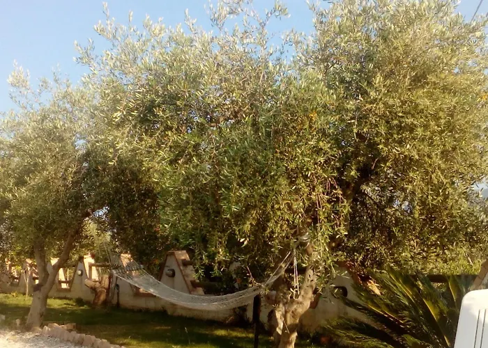 Casale 920