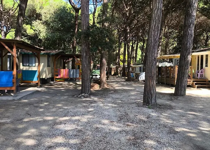 Mareblue Mobilhomes On Camping Mare E Pineta