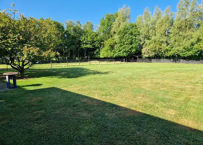 Grutsk Op 12