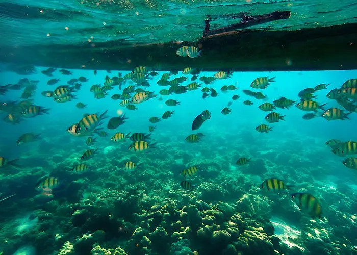 Andaman Sea Best Pool Access And Villas