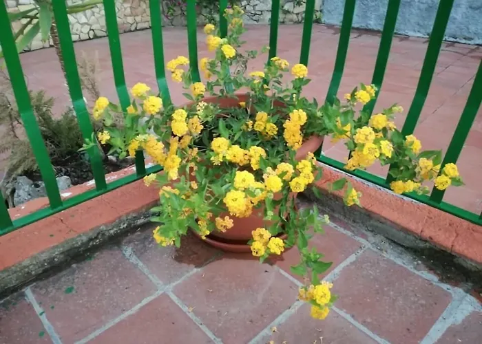 B&B Borgo Pileri