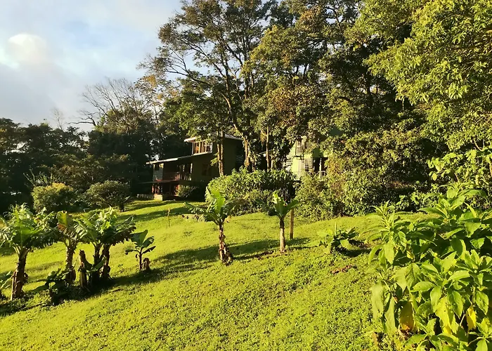 Hotel Flor De Bromelia