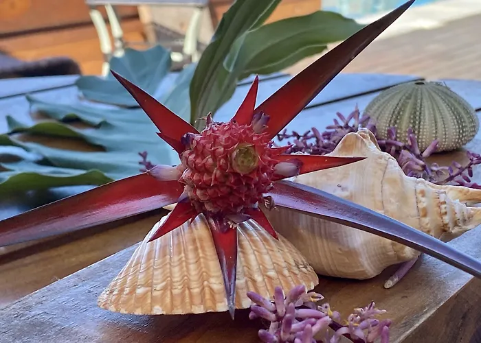 Carapitangui Pousada