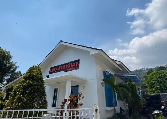 Villa Bromo Potato 2