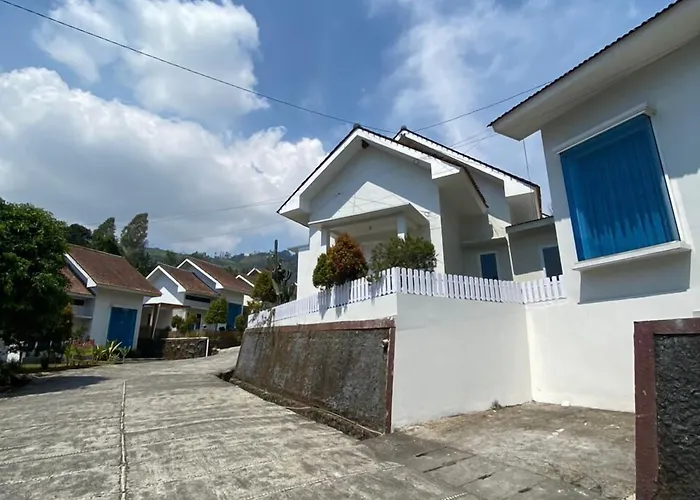 Villa Bromo Potato 2