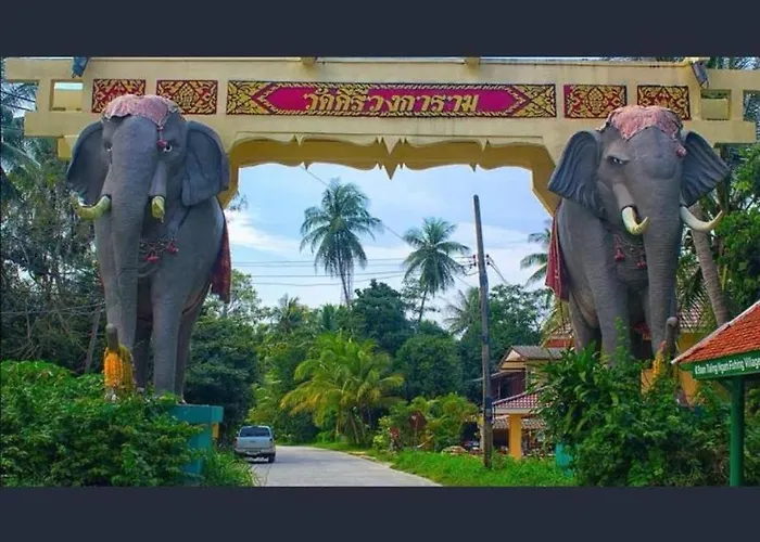 Mjoy Resort