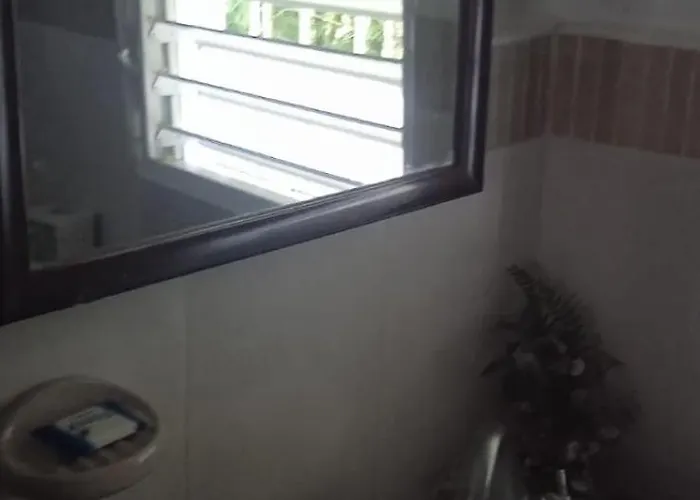 El Jardin Del Coco Triple