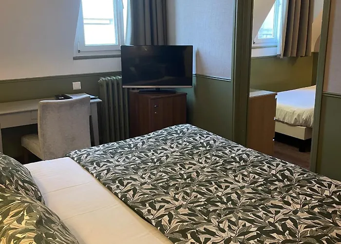 Hotel Ajoncs D'Or