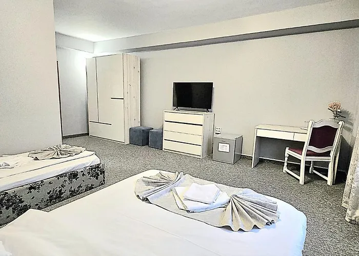 Hotel Delaf